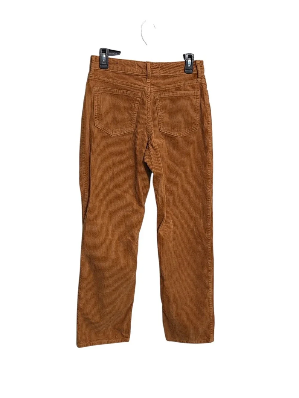 Hollister high rise